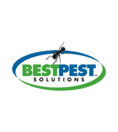 best pest solutions